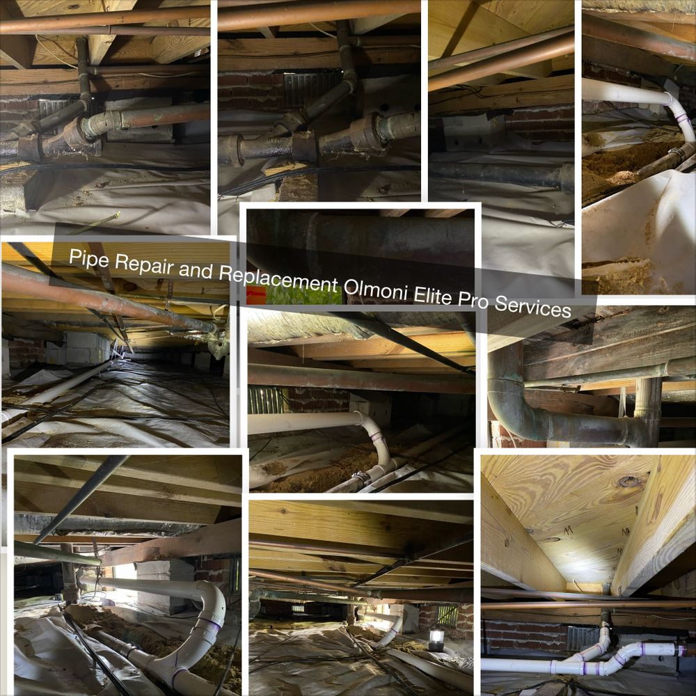 Slide of Olmoni Elite Pro Services