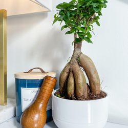 Remedy and Relief Therapeutic Massage