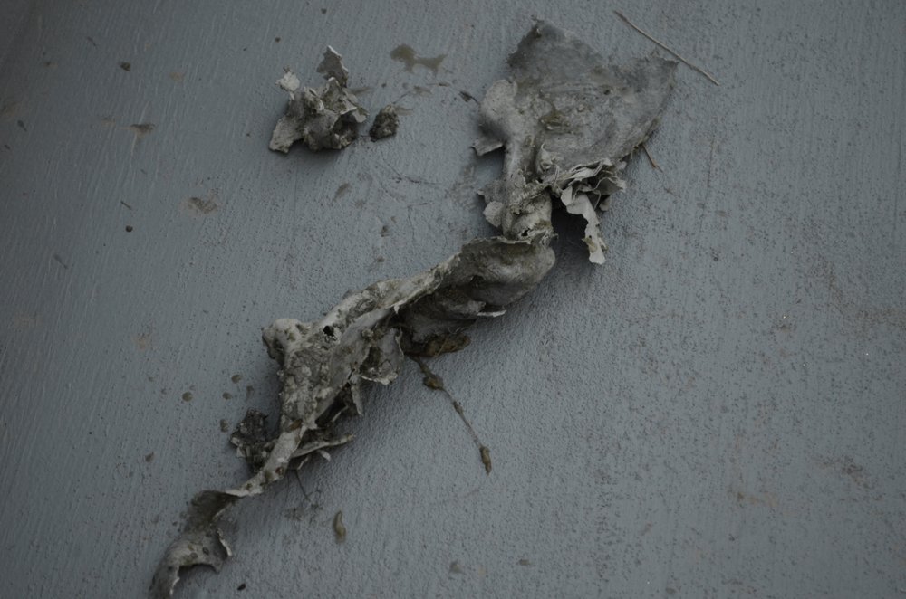 Slide of Dockside Plumbing