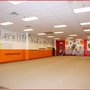 Photo of Illinois Shaolin Kung Fu School
