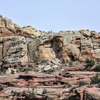 Calf Creek Falls Lower - On Lower Calf Creek Falls Trail - Hiking Near Me - Boulder, Utah Calf Creek Falls Lower - On Lower Calf Creek Falls Trail - Hiking Near Me - Boulder, Utah