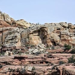 Calf Creek Falls Lower - On Lower Calf Creek Falls Trail