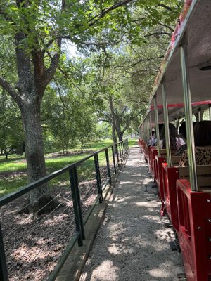 Hermann Park by null
