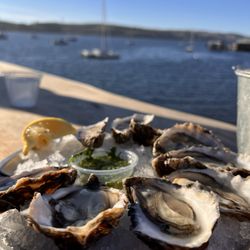 The Marshall Store - Fresh oysters- what's not to love.