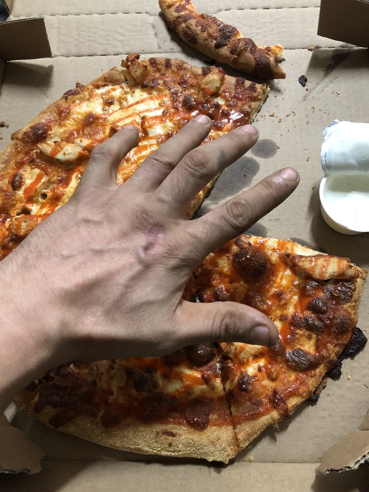 Domino's Pizza Logo