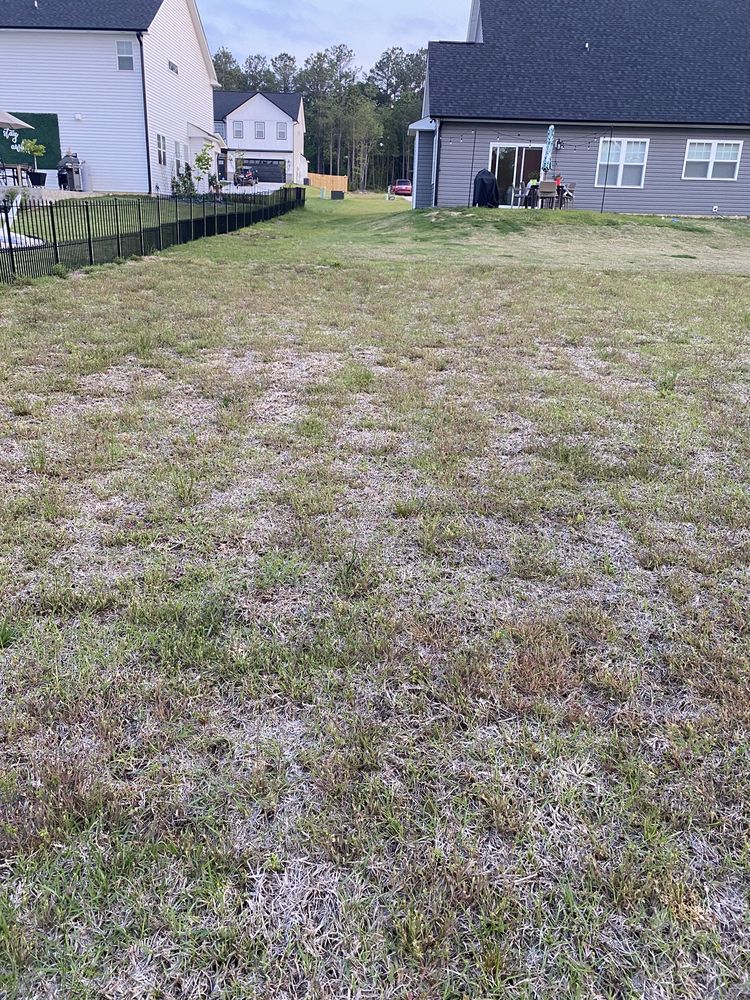 WAYSIDE LANDSCAPES AND SUPPLY Updated September 2024 101 Midway Dr