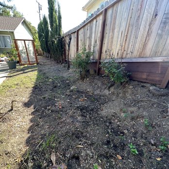 Shubha Landscape Design - About a month after Shubha and crew were out - Landscaping Near Me - Santa Clara, California Shubha Landscape Design - About a month after Shubha and crew were out - Landscaping Near Me - Santa Clara, California