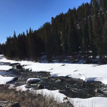 Yellowstone Wolf Tracker - Beautiful snowy landscape - Tours Near Me Yellowstone Wolf Tracker - Beautiful snowy landscape - Tours Near Me