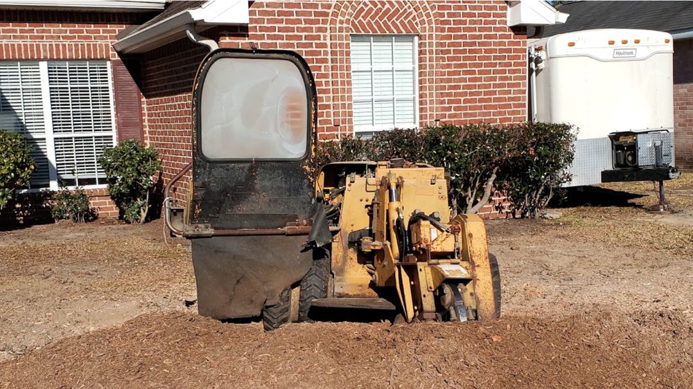 A1 Stump Grinding - tree service in Gulfport, MS