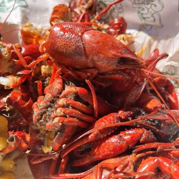 The Lucky Duck - Crawfish bowl - Bars Near Me - San Antonio, Texas The Lucky Duck - Crawfish bowl - Bars Near Me - San Antonio, Texas