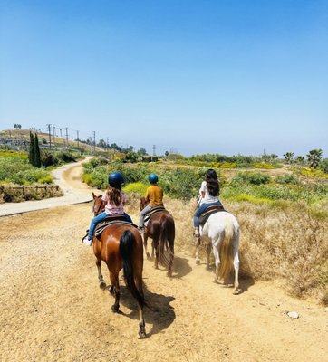 S&D Horseback Riding by null