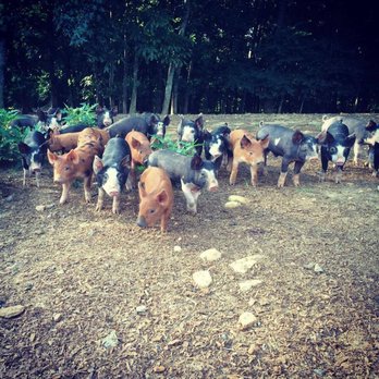 Riverview Farms - CSA Near Me - Ranger, Georgia