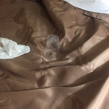 Quality Inn - Bug that bit my fiancé - Hotels Near Me - Deming, New Mexico