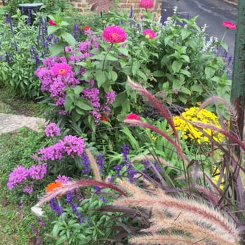 Anne Roberts Gardens - color for 7 months last year - Landscaping Near Me - Chicago, Illinois