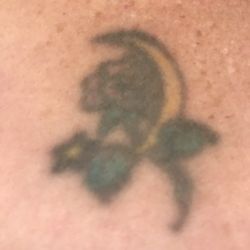 Sandpoint Tattoo & Piercing - My old faded tattoo