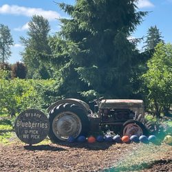 Valentina Farm - Cute entrance!