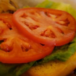 Fred's