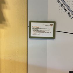 Stamford Museum & Nature Center