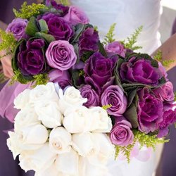 Platinum Floral