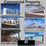 Carolina Campa Insurance Agency