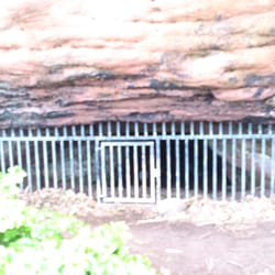 MacDuff Castle - Well cave containing bone markings