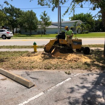 Jenkins Tree Service - Tree Services Near Me Jenkins Tree Service - Tree Services Near Me