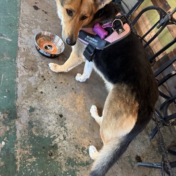 La Playa Park - Dog friendly - Food Trucks Near Me - Brunswick, Georgia La Playa Park - Dog friendly - Food Trucks Near Me - Brunswick, Georgia