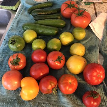 Trader Joe's - My bounty from TJ's. - Grocery Near Me - Pacific Grove, California
