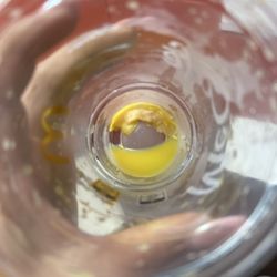 McDonald's - Something was at the bottom of my drink. Thankfully they forgot my straw. Otherwise I would've sucked this right up.