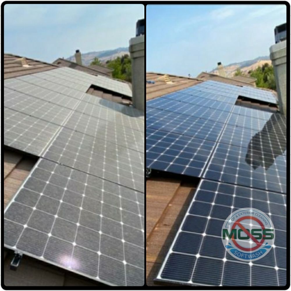 Slide of No Moss SoftWash