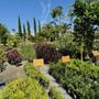 Photo of GARDENWORKS