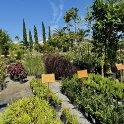 GARDENWORKS - The Grounds!