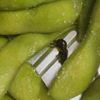 Wasabi Bistro - Bug - Japanese Near Me - Boonton, New Jersey