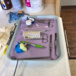 Alliance Endodontics - Root canal tray
