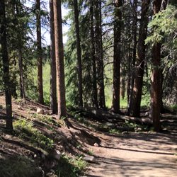 Granby Trails