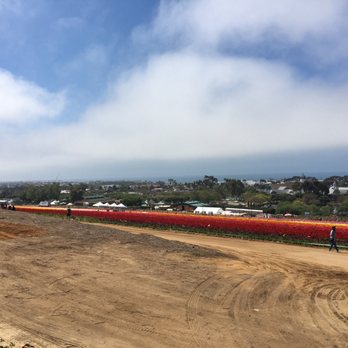 The Flower Fields - Venues & Event Spaces Near Me - Carlsbad, California