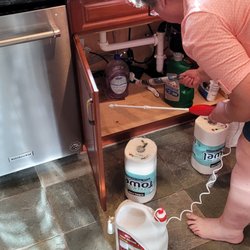 Mauna Lani Terrace Condominium - Spraying roaches under sink.