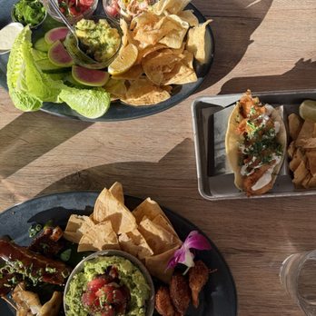 Pacific Catch - Both sample platters and shrimp taco - Seafood Near Me - San Diego, California Pacific Catch - Both sample platters and shrimp taco - Seafood Near Me - San Diego, California
