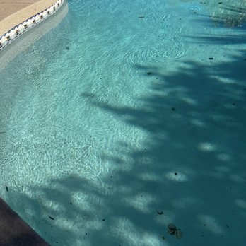 Got Pool Services - Pool Cleaners Near Me Got Pool Services - Pool Cleaners Near Me