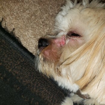 PetSmart - Pet Stores Near Me - Chula Vista, California