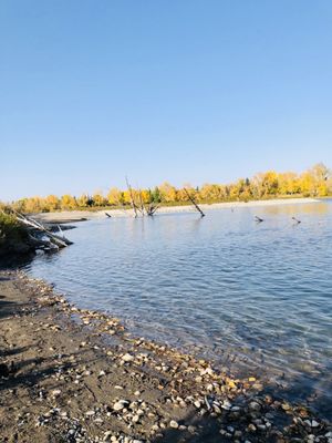 Inglewood Bird Sanctuary by null