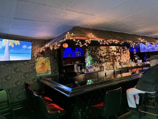 Lee's Hawaiian Islander by null