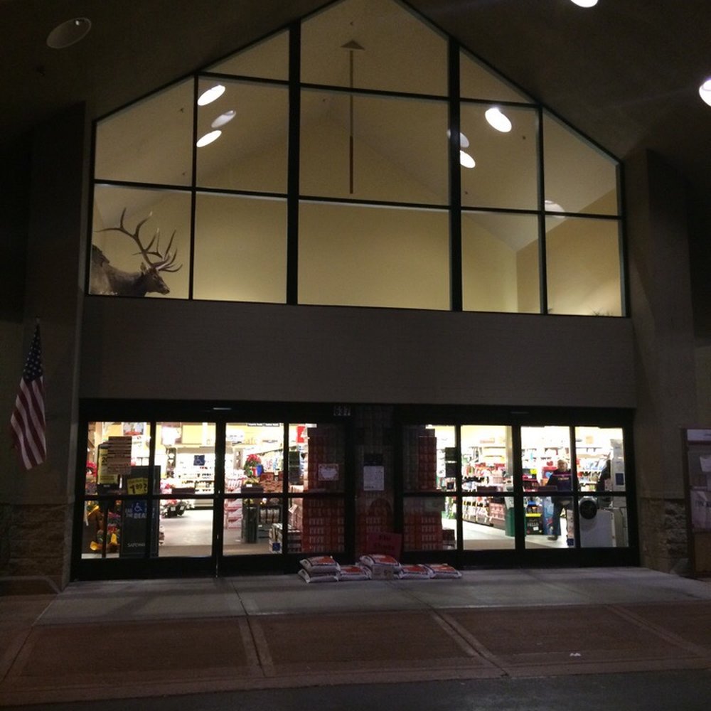 This is one of the only Grocery stores I know with a trophy elk mount hanging on the wall!