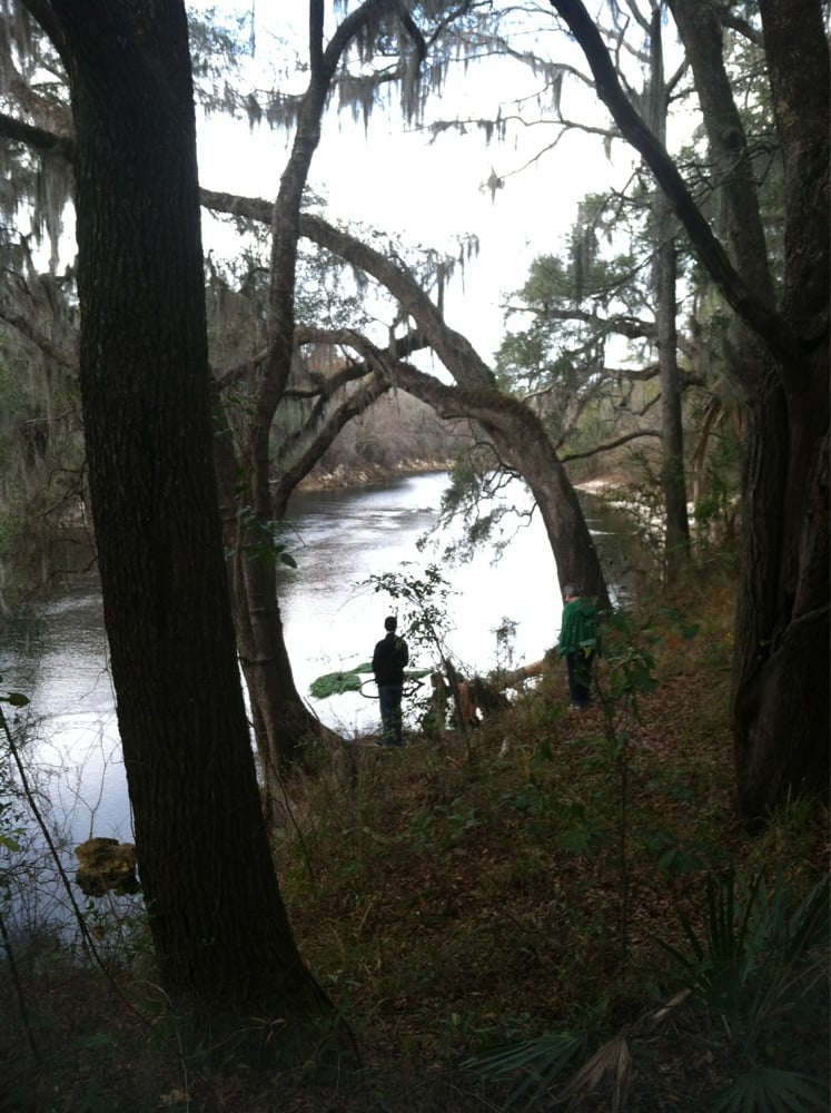 Suwannee River State Park Image