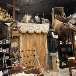 Twelve Vultures
