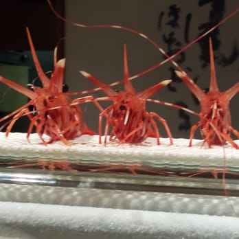 Shiro's - Live Sweet Shrimp patiently waiting to be prepped :) - Sushi Bars Near Me - Seattle, Washington
