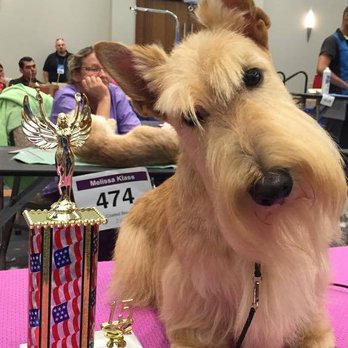 Encks Trophy - Dog show winner - Trophy Shops Near Me - Enola, Pennsylvania Encks Trophy - Dog show winner - Trophy Shops Near Me - Enola, Pennsylvania