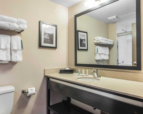 Quality Inn Suites 22 Photos Hotels 1530 Robinson Court