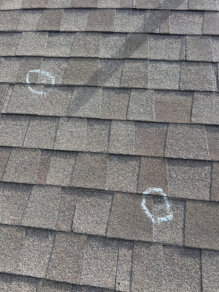 Slide of Mighty Dog Roofing