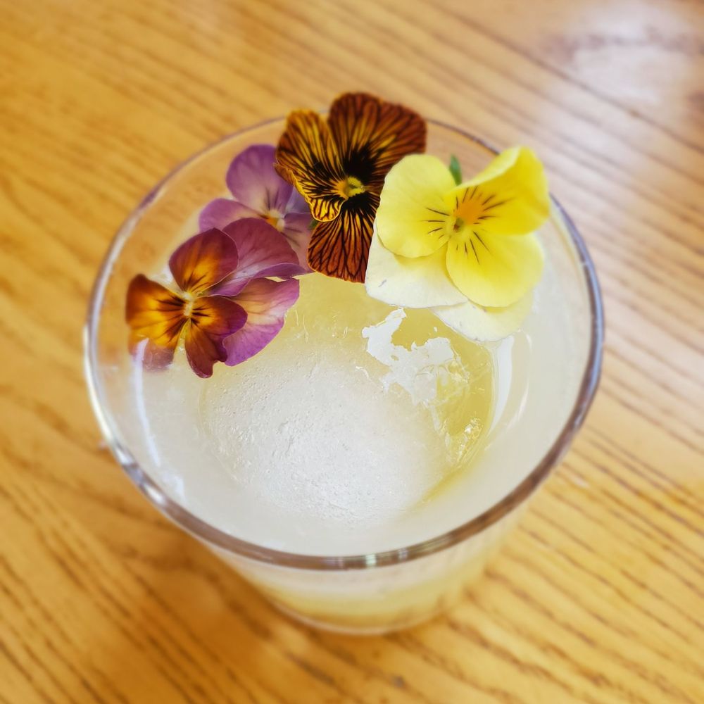 Plonk - Even the flowers are eat-able. - Cocktail Bars Near Me - Missoula, Montana Plonk - Even the flowers are eat-able. - Cocktail Bars Near Me - Missoula, Montana